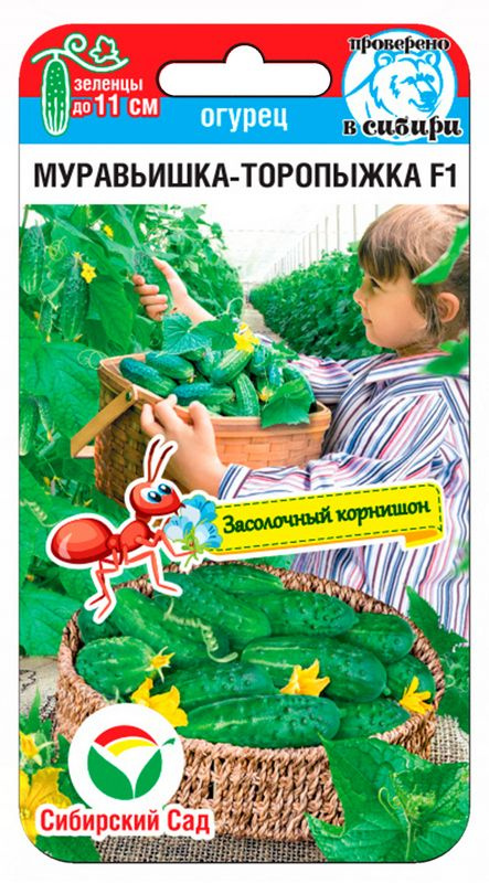 Огурец Муравьишка-торопыжка 7шт (Сиб Сад) #1