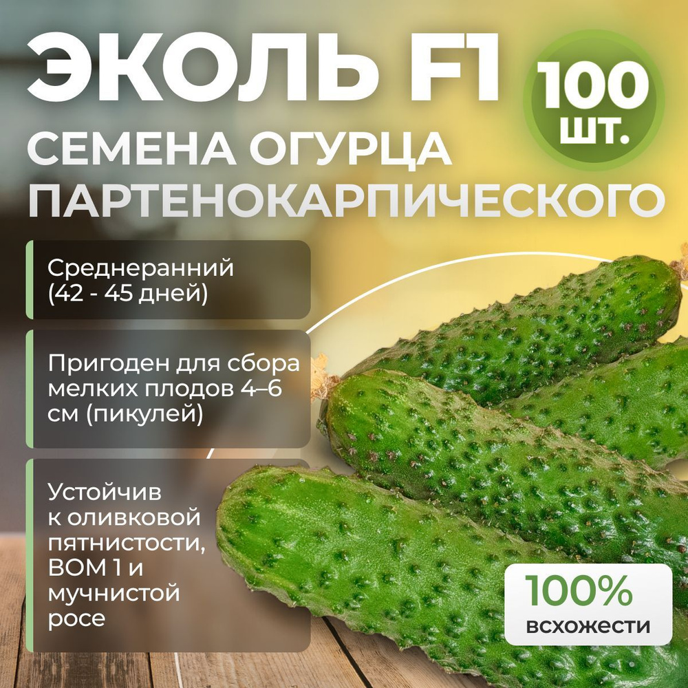 Эколь F1 семена огурца среднераннего, 100 шт. (Syngenta / ALEXAGRO). Высокоурожайный, партенокарпический #1