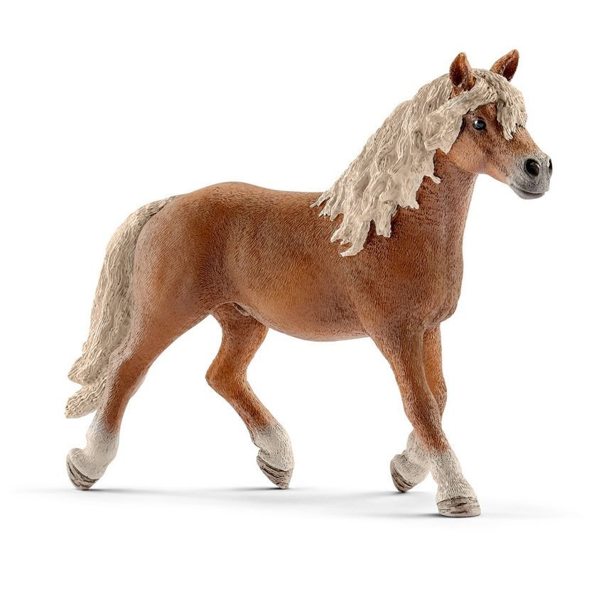 Schleich Фигурка Жеребец Хафлингер Horse Club, 13813 #1