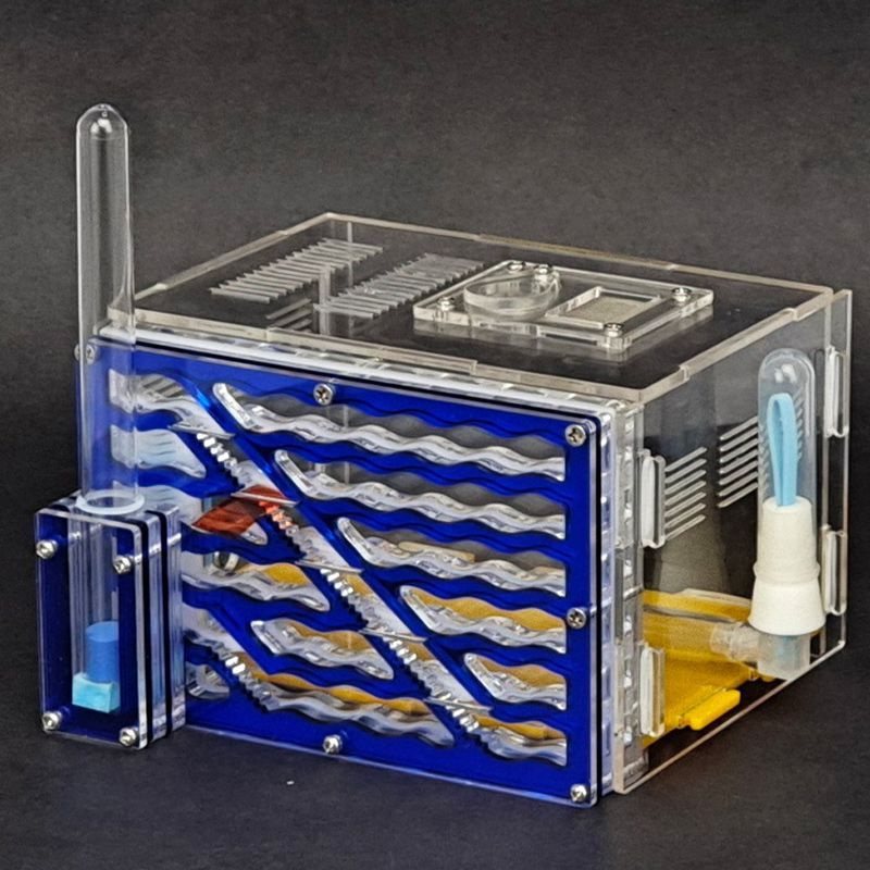 Муравьиная Ферма Большая купить на OZON по низкой цене (1935289515)