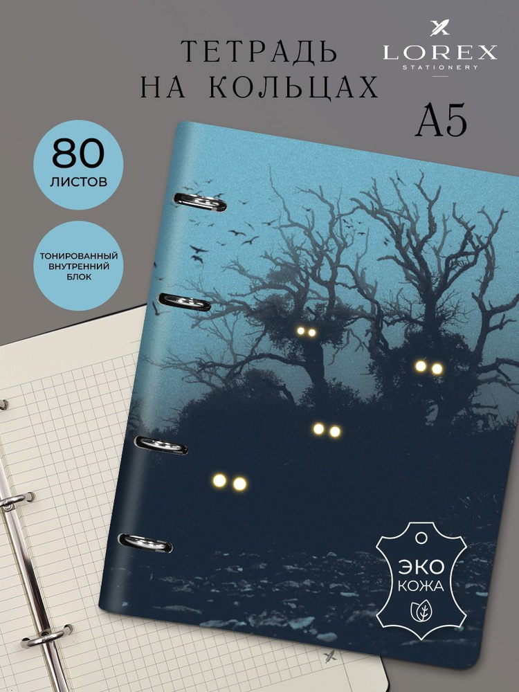 Тетрадь на кольцах 80 листов А5 со сменным блоком в клетку LOREX  #1