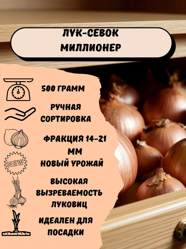 Лук-севок Миллионер, 0.5 кг, на посадку, фракция 14-21мм #1