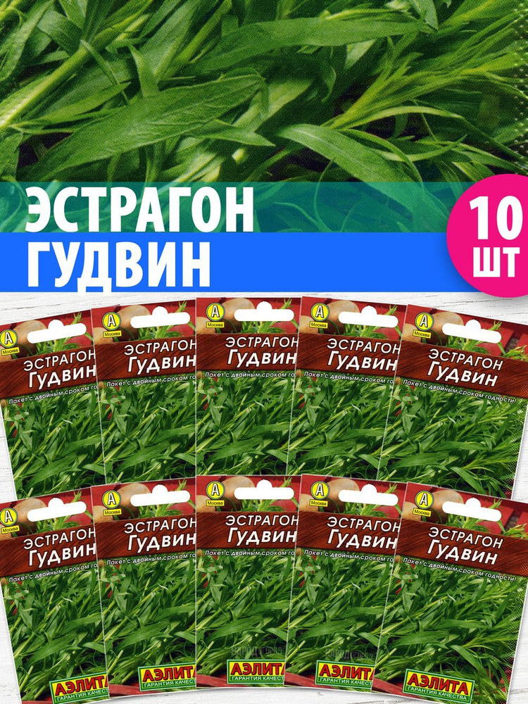 Семена Эстрагон для посадки тархун Гудвин, 10 пакетиков по 0,05г #1