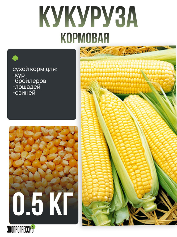 Кукуруза кормовая 0,5кг #1