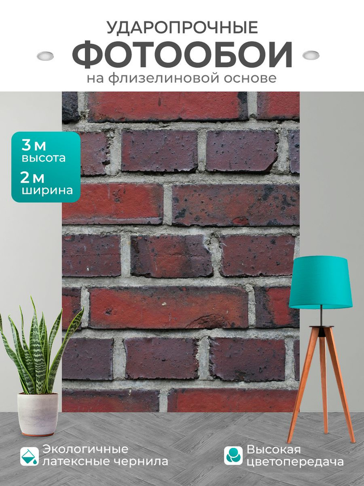 LotsPrints Фотообои Винил на флизелине 3 м, 2 м #1