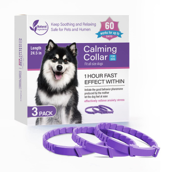 Calming collar 2025