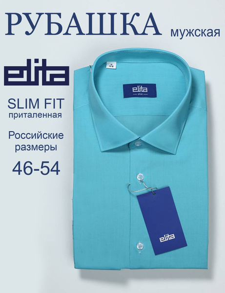 Рубашка Мужской ELITA голубой Короткий Хлопок, Полиэстер Кокетка ...