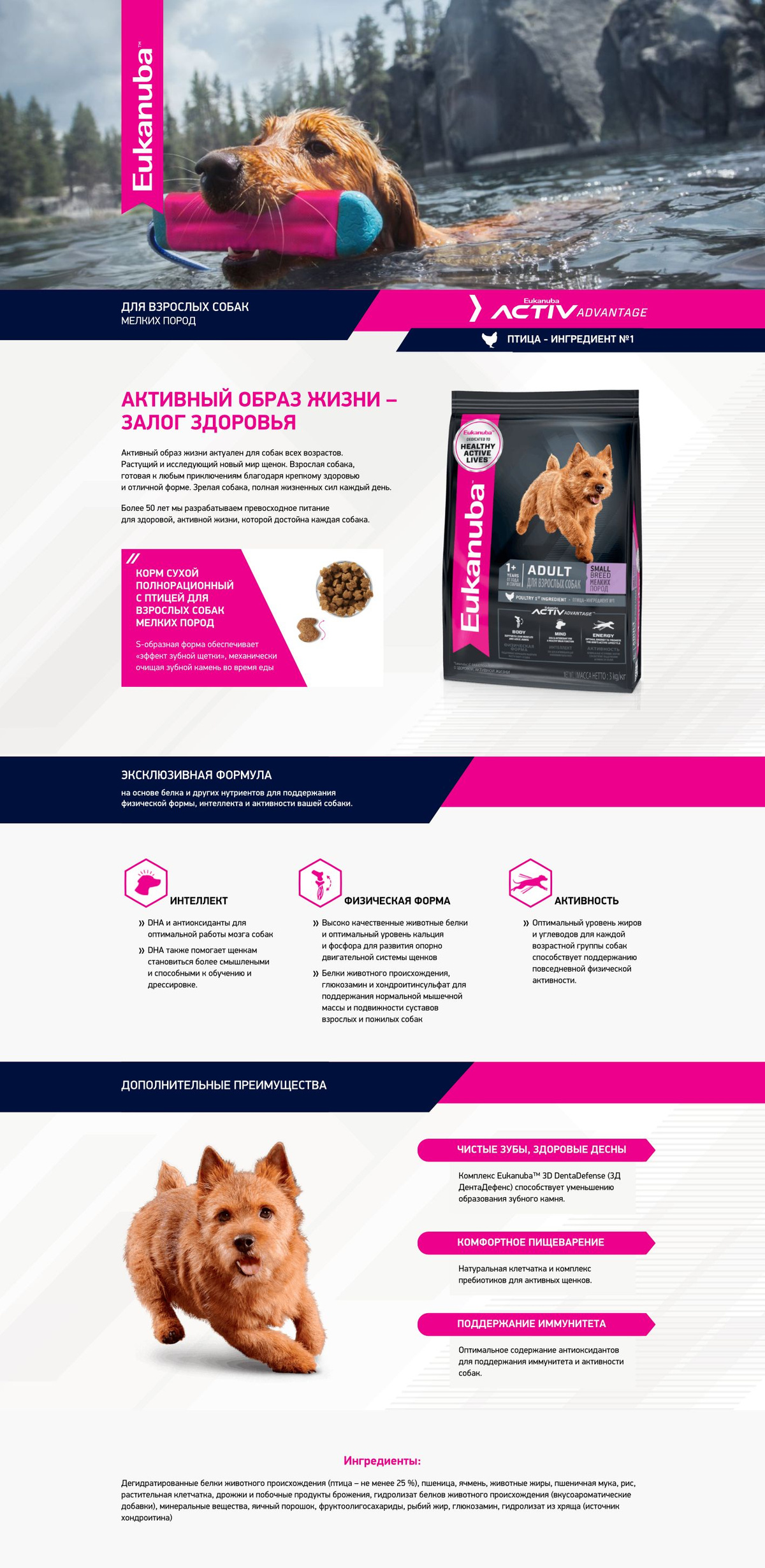 Сухой корм для собак мелких пород Eukanuba Adult Small Breed 1+ years