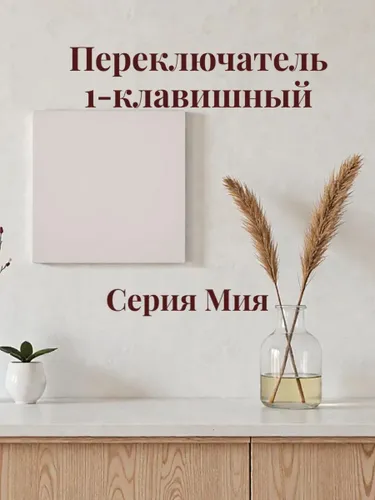 Переключатель 1-клавишный. Мия 50477