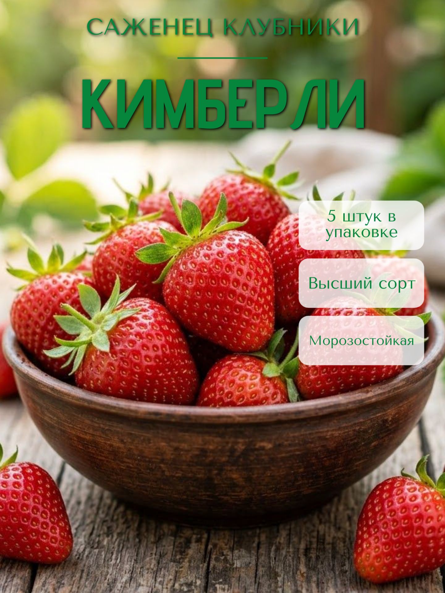 СаженецКлубникиКимберли5шт.