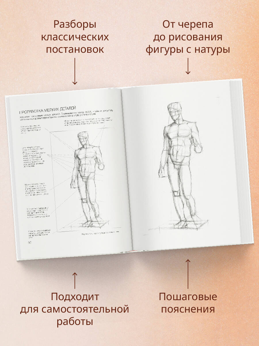База академического рисунка. Фигура человека, голова, портрет и капитель | The Basics of Academic Drawing: The Human Figure, Head, Portrait, and Capital - Ozon image 2