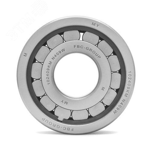 Подшипник роликовый цилиндрический FBC N409 W, 45 120 29 мм Подшипник роликовый цилиндрический FBC N409 W, 45 120 29 мм