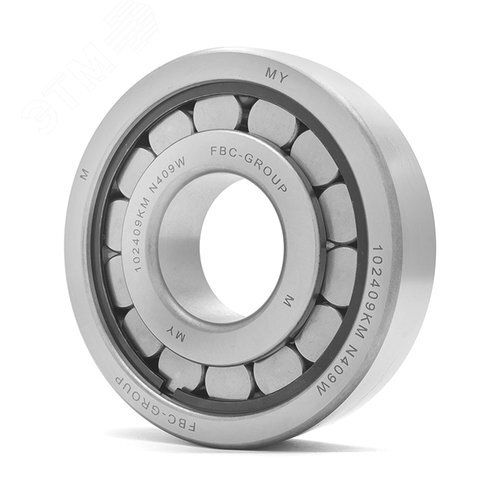 Подшипник роликовый цилиндрический FBC N409 W, 45 120 29 мм Подшипник роликовый цилиндрический FBC N409 W, 45 120 29 мм