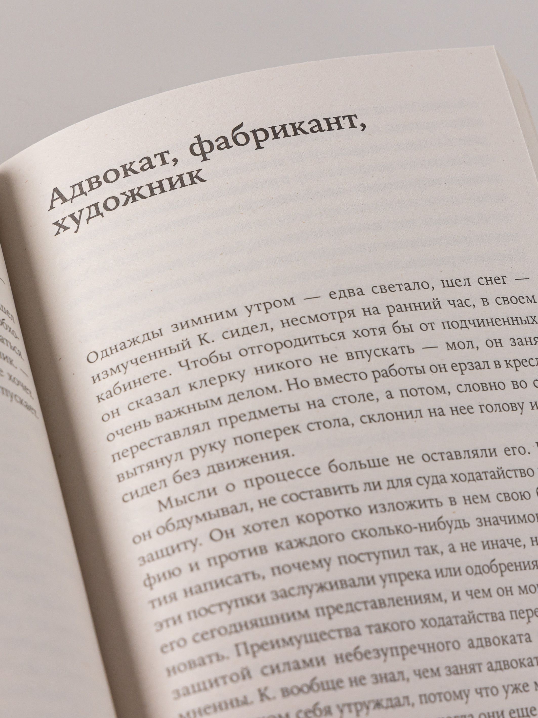 Процесс | The Trial - Ozon image 7