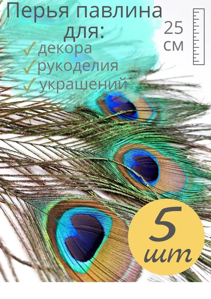 Перья павлина #1
