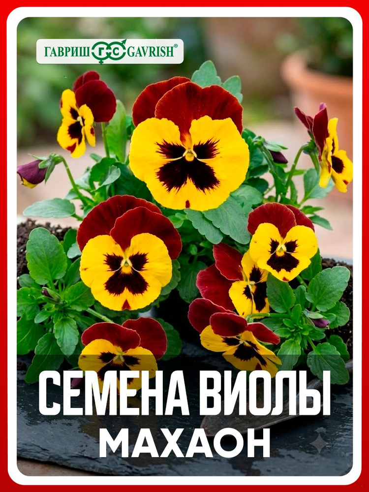 Семена Виола Виттрока "Махаон" 0,05 гр, Анютины глазки, двулетние цветы для дома дачи и огорода, клумбы, #1