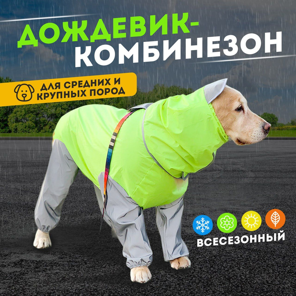 Одежда для животных #1