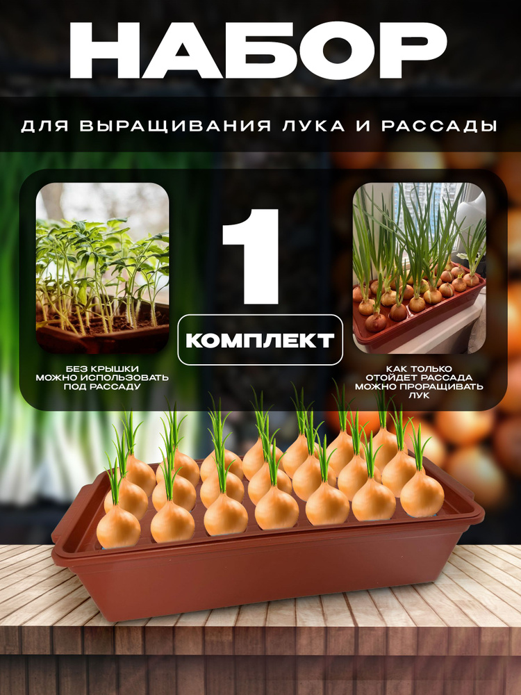 Контейнер лоток Ящик для рассады для выращивания зеленого лука купить ...