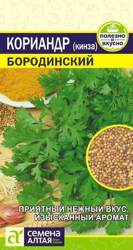 Кориандр "Бородинский" семена Алтая для открытого грунта и теплиц, 2 гр  #1