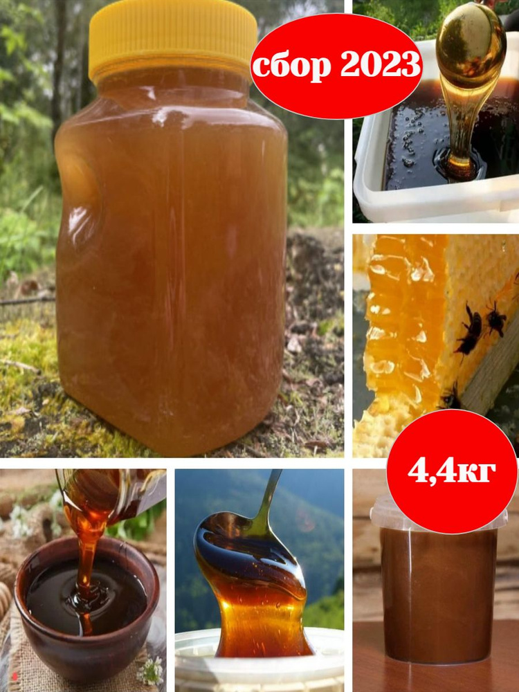 Мед 3 литра Луговой (4,4кг) #1