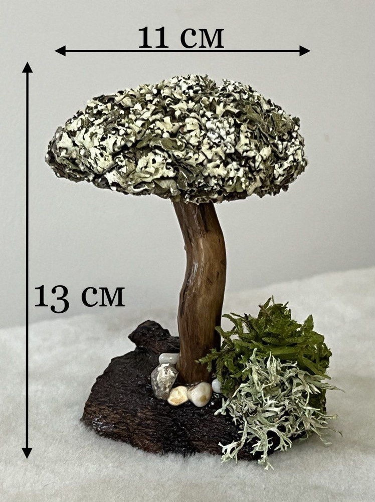 Живое дерево из исландского мха цетрария "Княжна" №5 #1