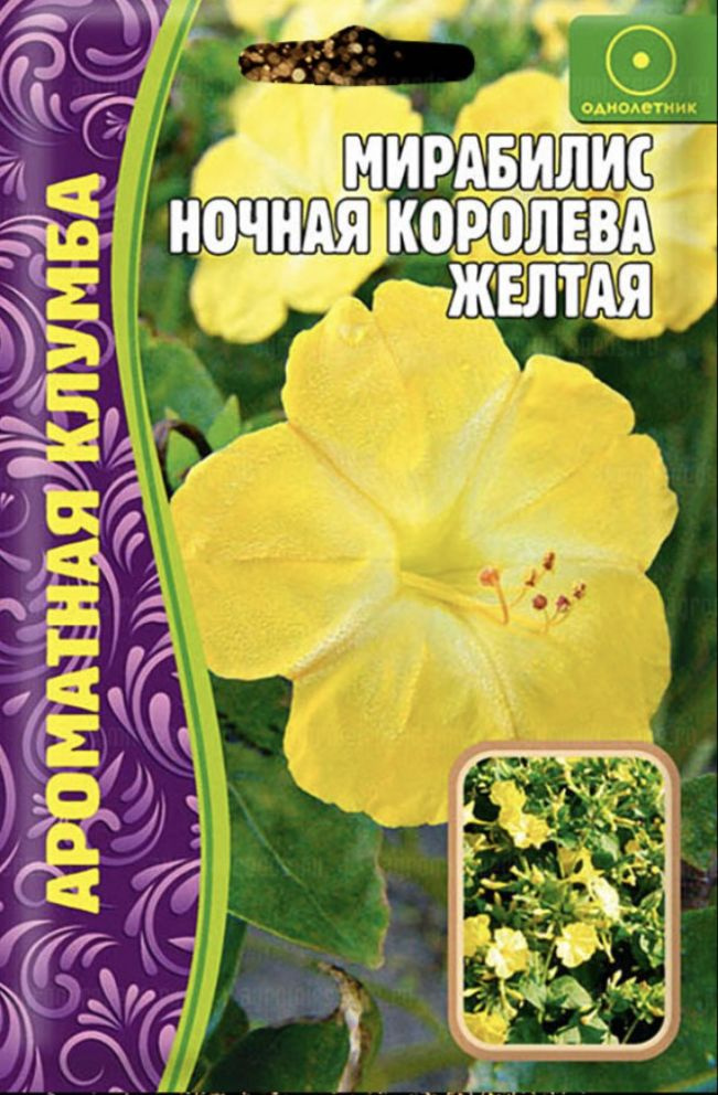 Мирабилис Ночная Королева Желтая, 1 пакет, семена 14 шт, ЧК  #1