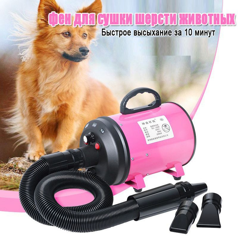 Фен-компрессор для сушки животных,2200 Вт купить на OZON по низкой цене ...