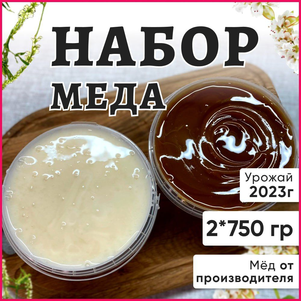 Мед белый донник и гречишный Натуральный мёд 1500 грамм #1