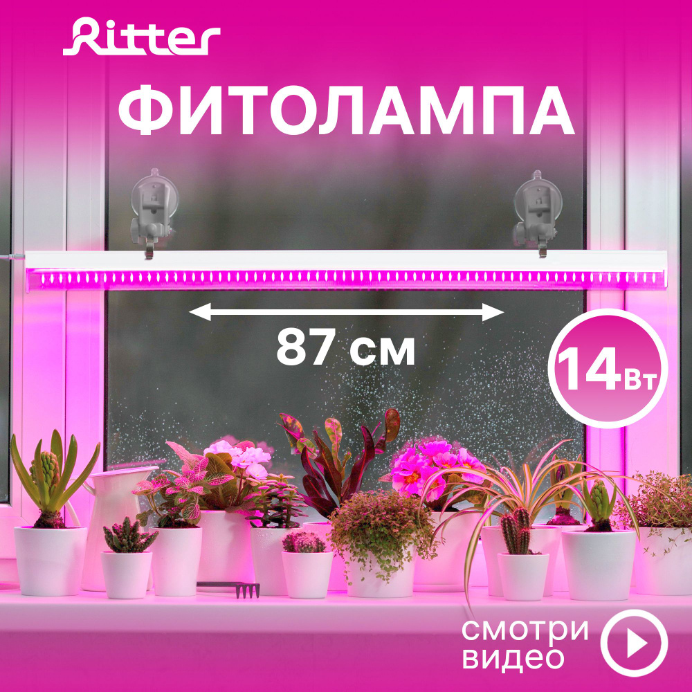 Фитосветильник светодиодный для растений Т5 Ritter PLANTA, 14Вт,  870х23х34мм, провод 2м, выключатель на корпусе, цвет белый, 56297 9 -  купить с доставкой по выгодным ценам в интернет-магазине OZON (799859068)