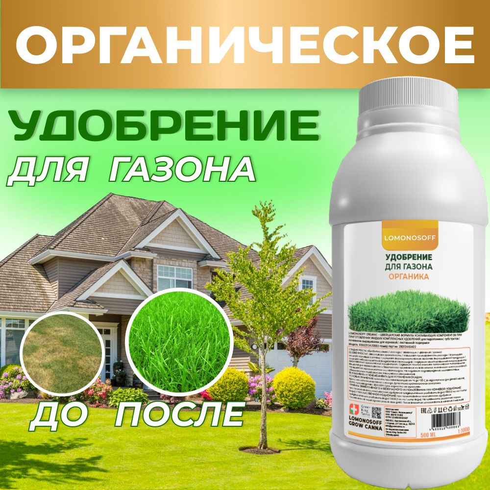 Как посеять газон правильно своими руками: подробное руководство | Семена 96