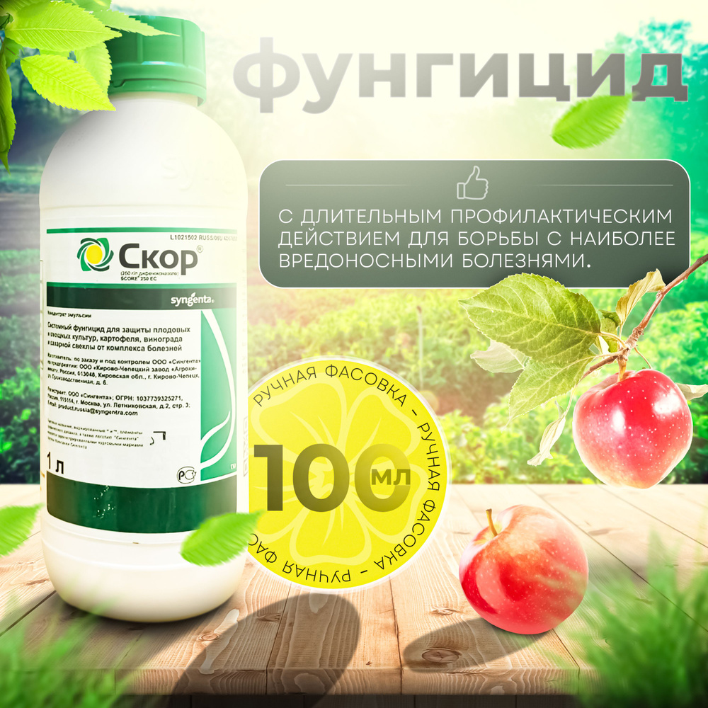 Скор Фунгицид, 100мл - купить с доставкой по выгодным ценам в интернет ...