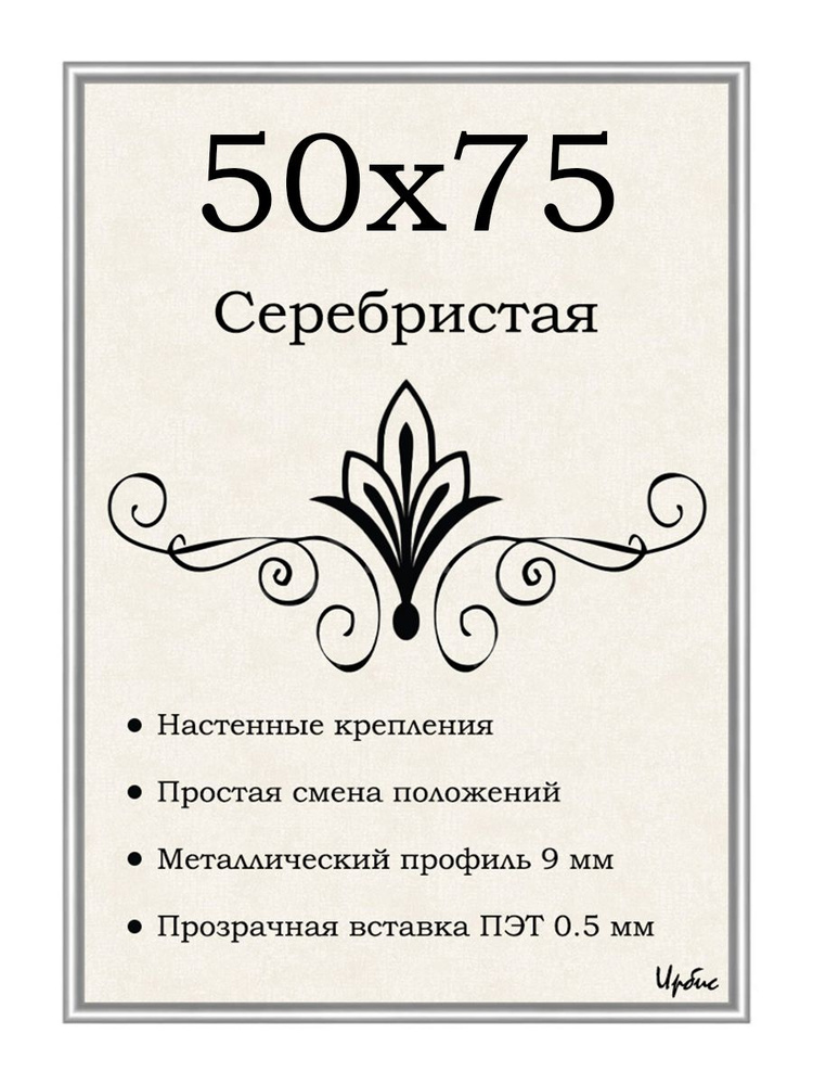 Фоторамка металлическая серебристая для постера, картины, фотографии 50х75 см  #1