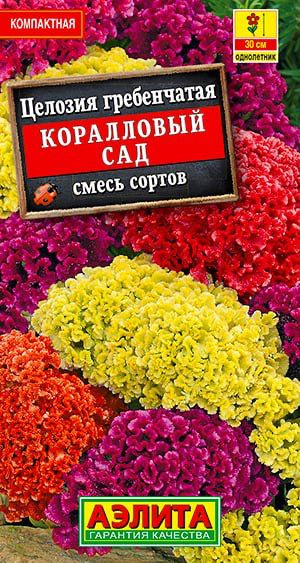 Семена Целозия гребенчатая Коралловый сад, смесь сортов  #1