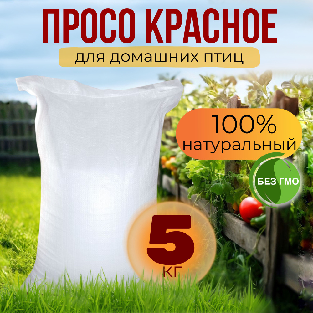 Корм просо красное для попугаев и домашних птиц и грызунов 5 кг  #1