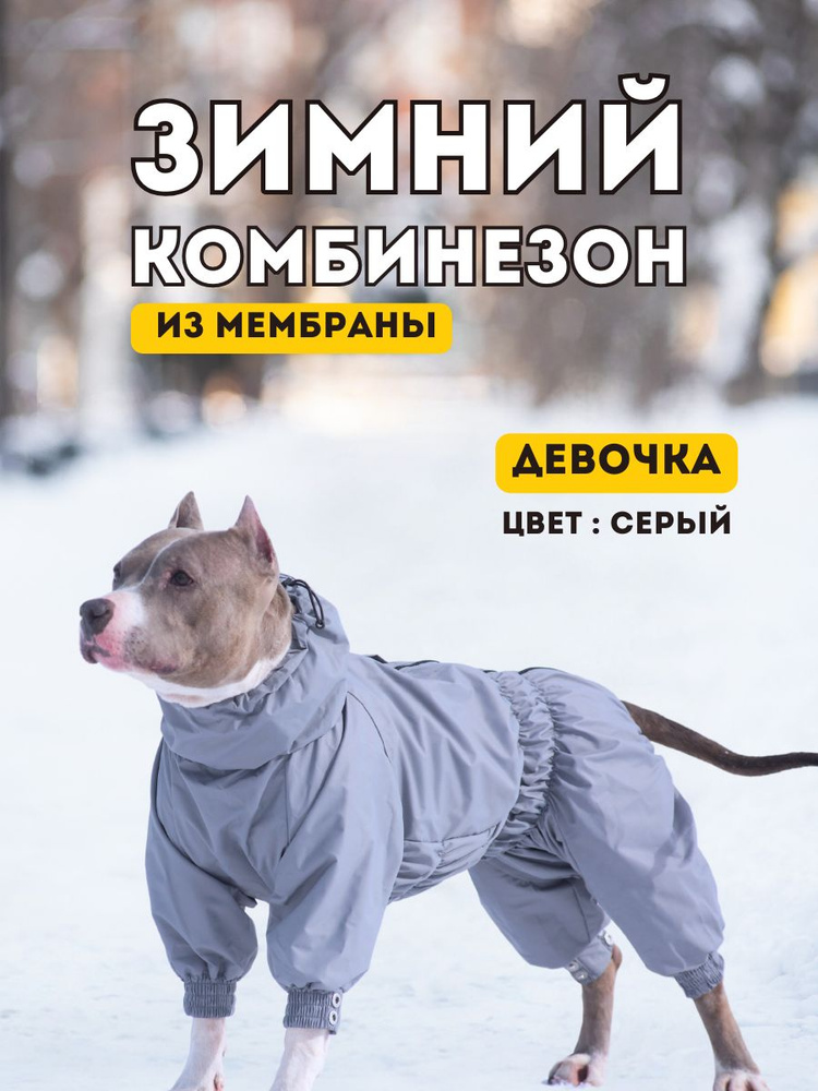 Комбинезон зимний для собак средних пород SNOW plus, 55+ж (сука), серый, 4XL+  #1