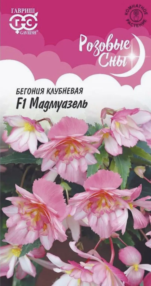 Бегония ампельная Мадемуазель F1, 1 пакет, семена 4 шт (гранулы пробирка), клубневая, Гавриш  #1