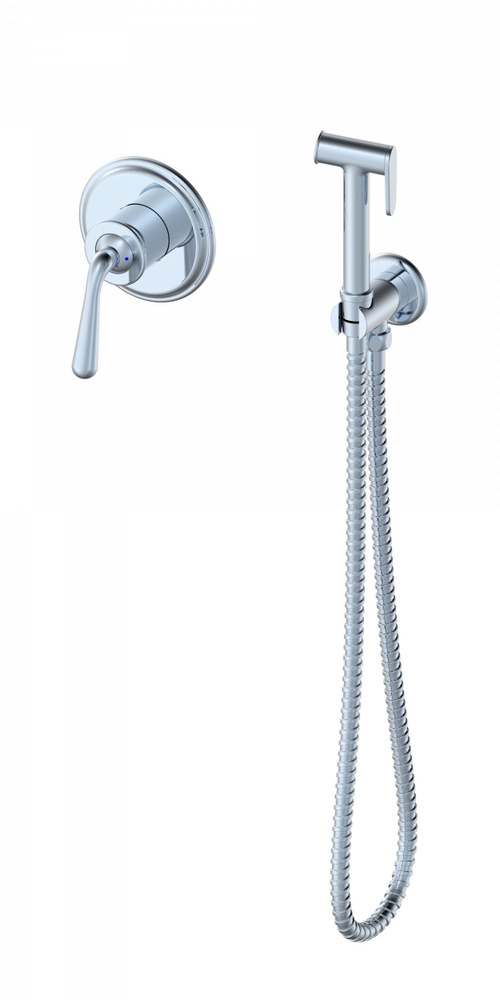 Раздельный Смеситель с гигиеническим душем скрытого монтажа - купить с ...