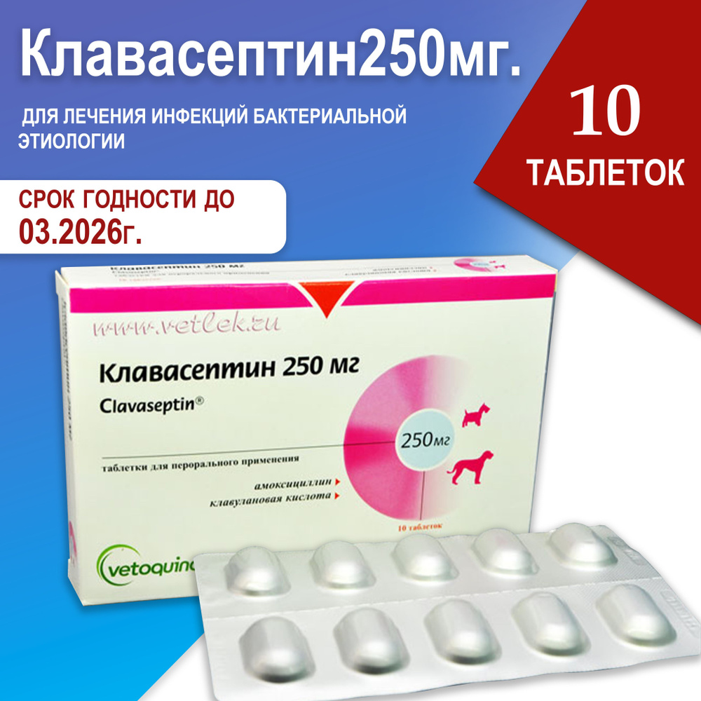 Clavaseptin (Клавасептин) 250 мг., 10 таблеток для лечения периодонтальных инфекций у собак.  #1