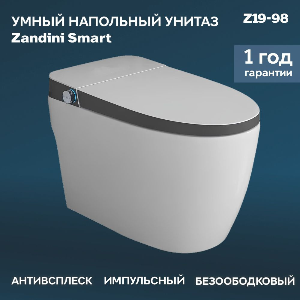 Умный унитаз напольный Zandini SMART Z19-98 импульсный, безбочковый  #1