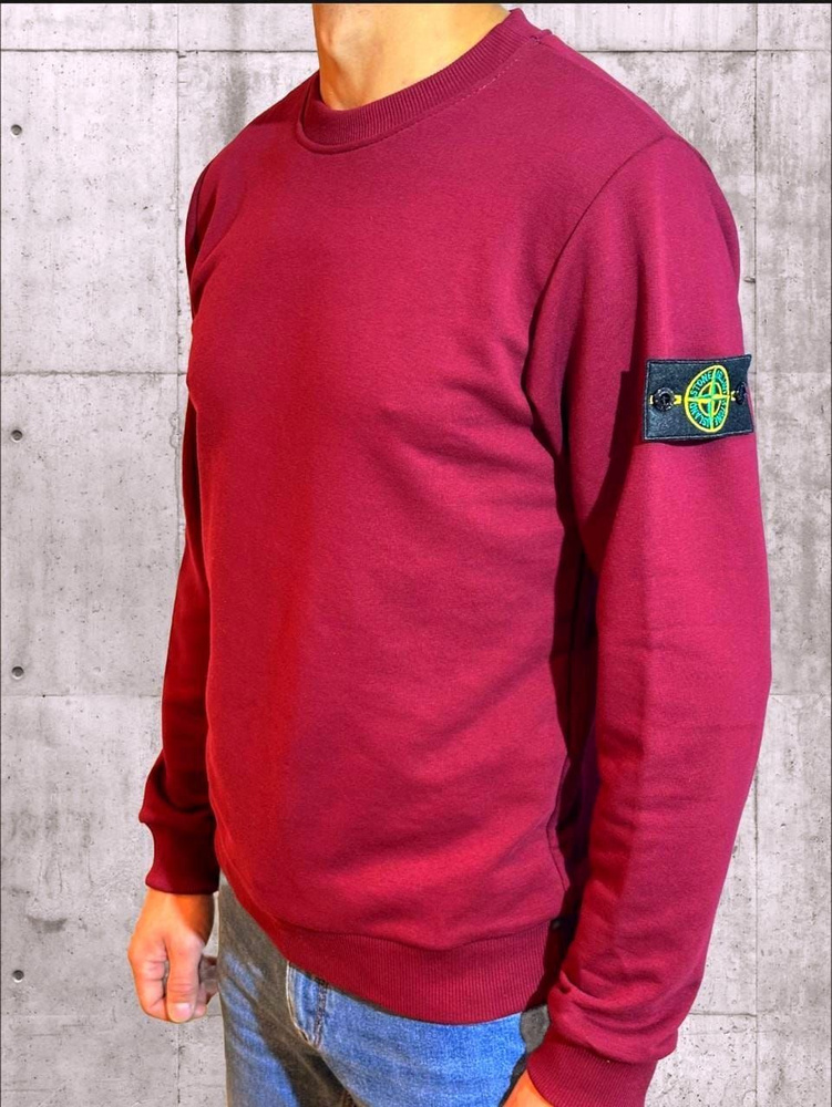 Свитшот Stone Island #1