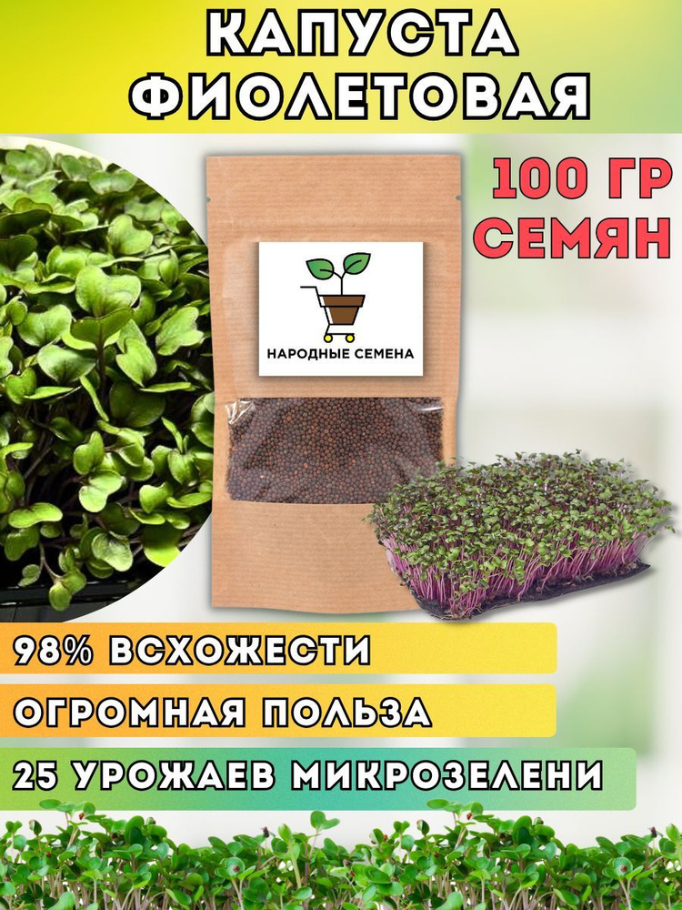Семена капусты кольраби фиолетовой для микрозелени 100 гр. #1