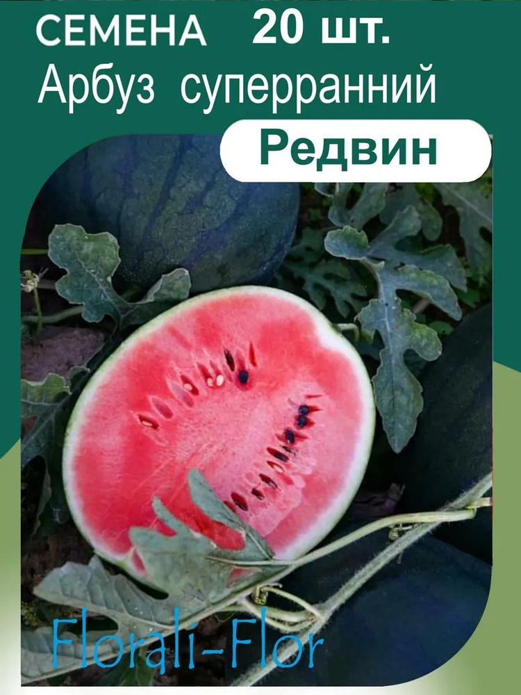 Арбуз суперранний Семена #1