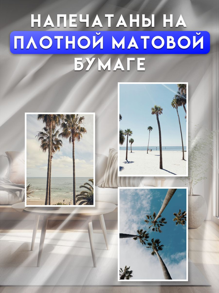 постеры на стену "Пальмы", 40х50 см #1
