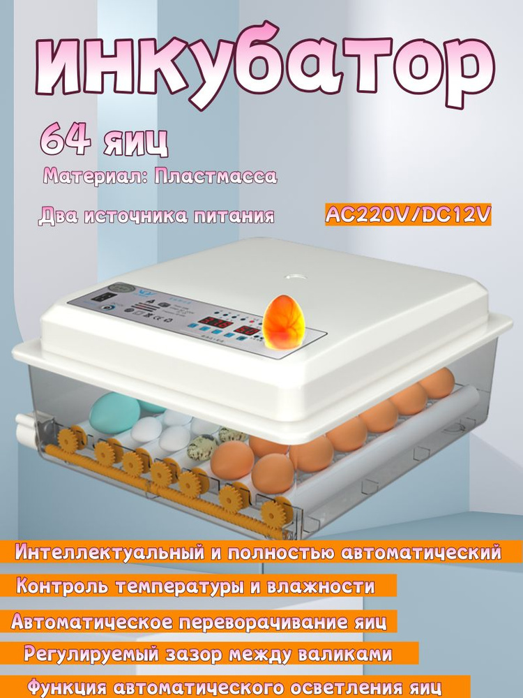 Инкубатор для яиц купить на OZON по низкой цене (2156381612)