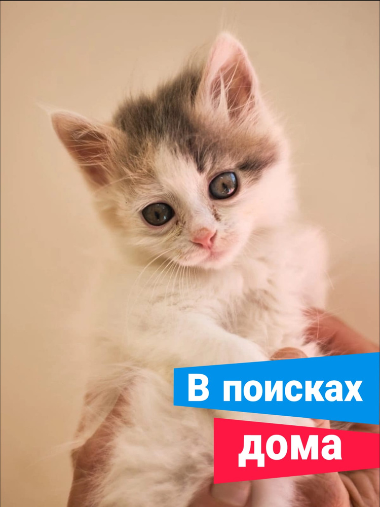 Помощь Мэй #1