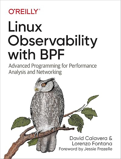 Linux Observability with BPF: Advanced Programming for Performance Analysis and Networking #1