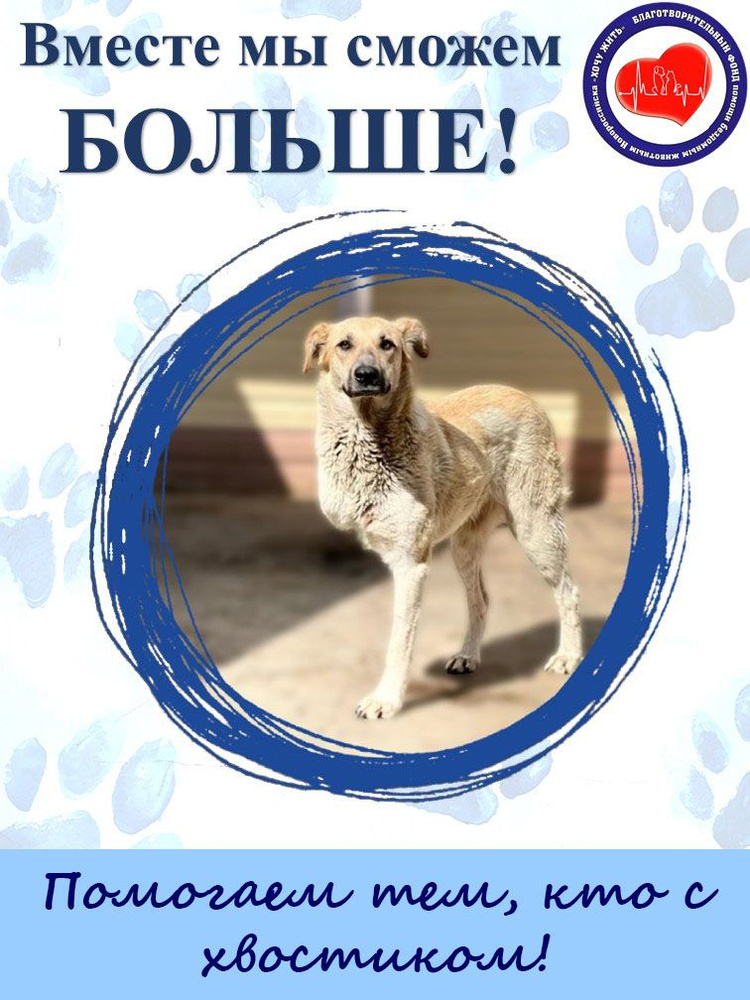 Благотворительный сертификат фонда "Хочу жить" #1