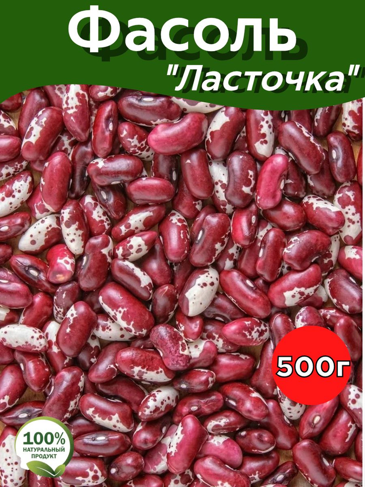 Фасоль красная #1