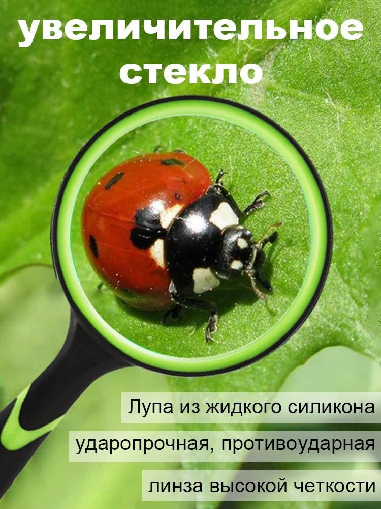  Лупа #1