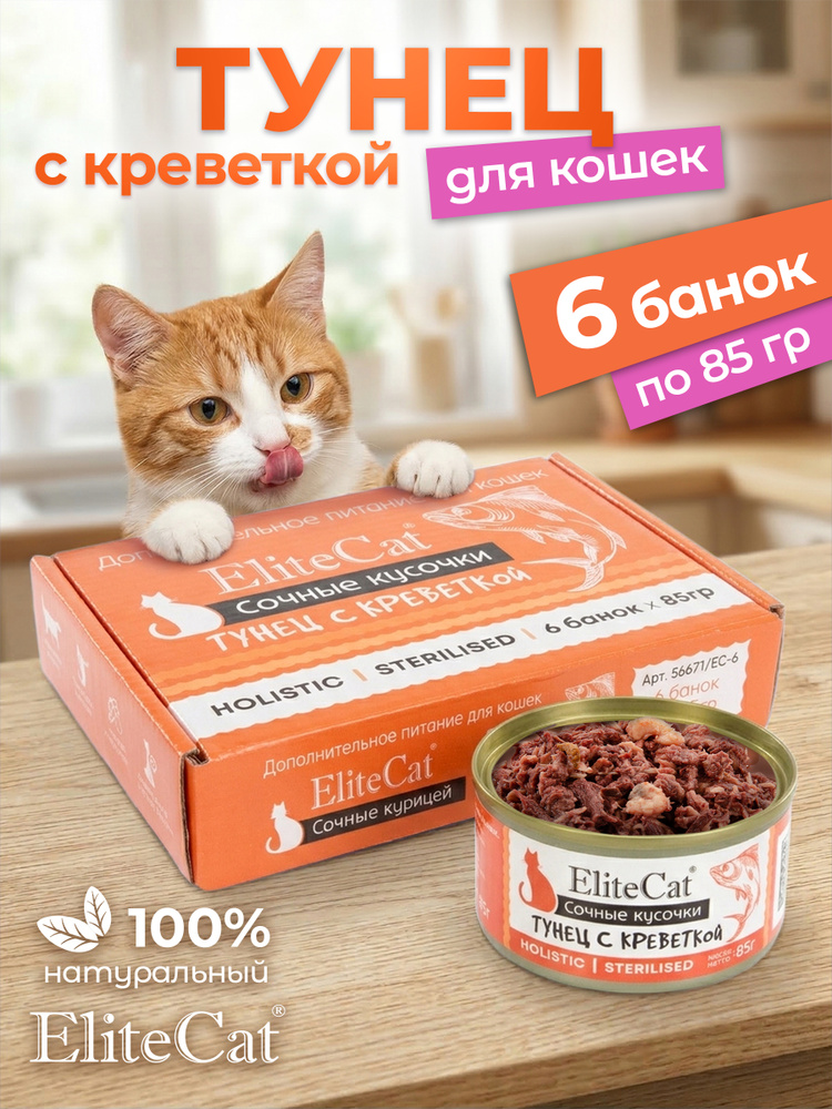 ELITECAT elitecat